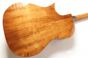 HGAF-5100SE/FMH-C - NAT